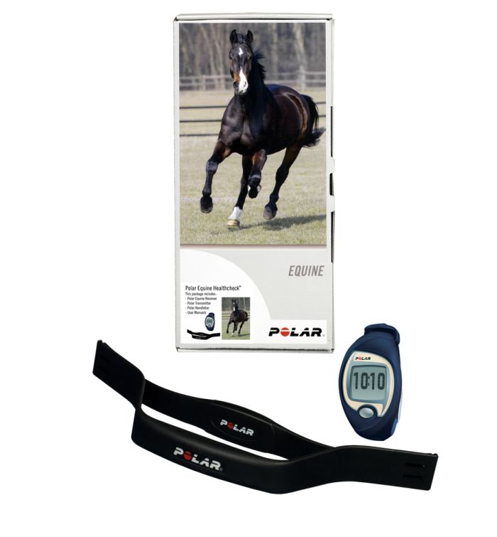 polar equine m400 trotting